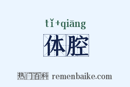 体腔是什么意思的图片